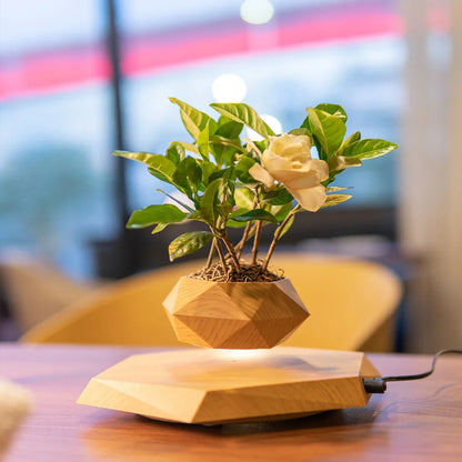 Magnetic Levitating Planter Floating  Plant Pot Creative Gift for Christmas